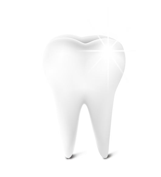 Pic PNG del diente humano