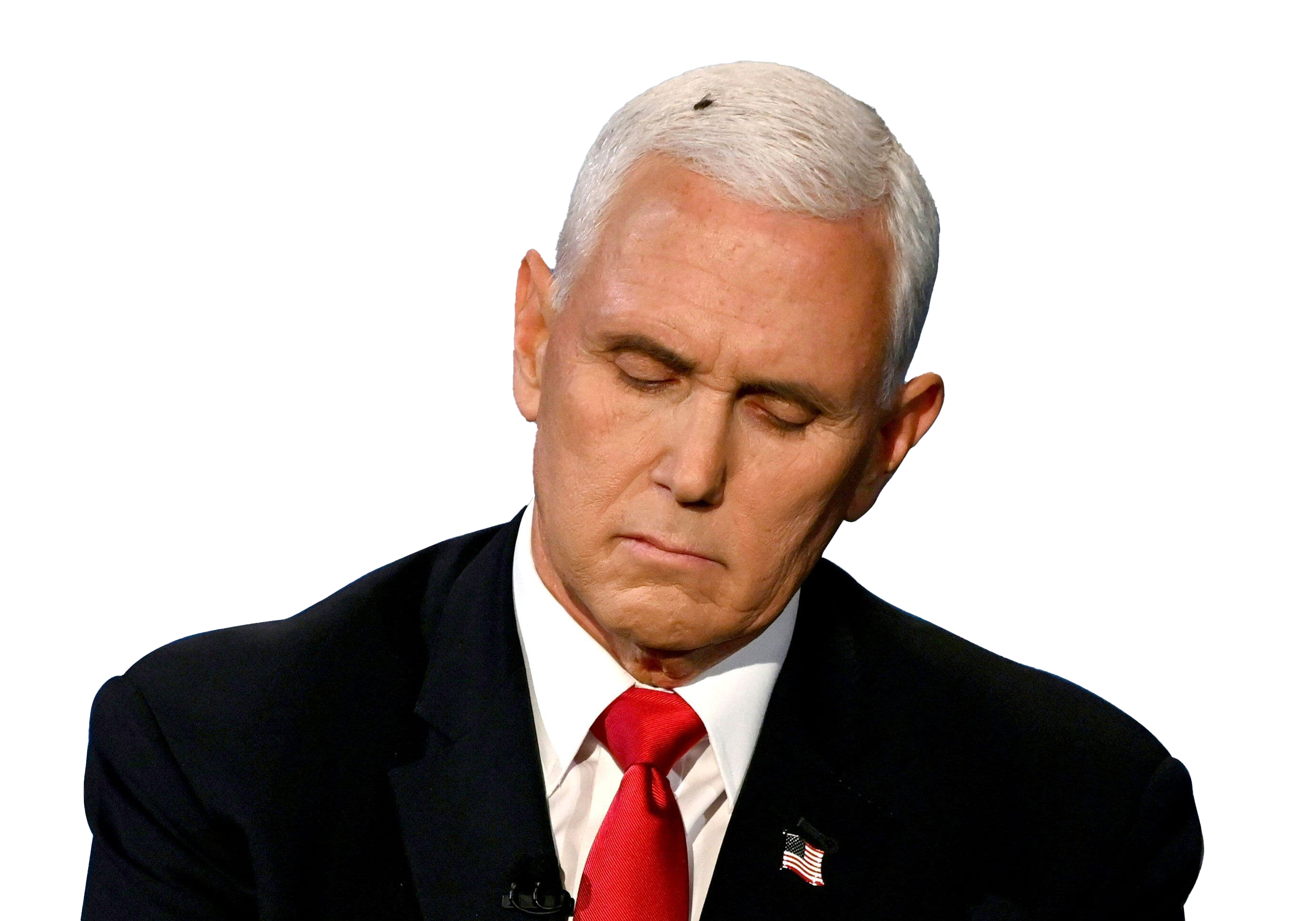 Mike Pence PNG-Bild