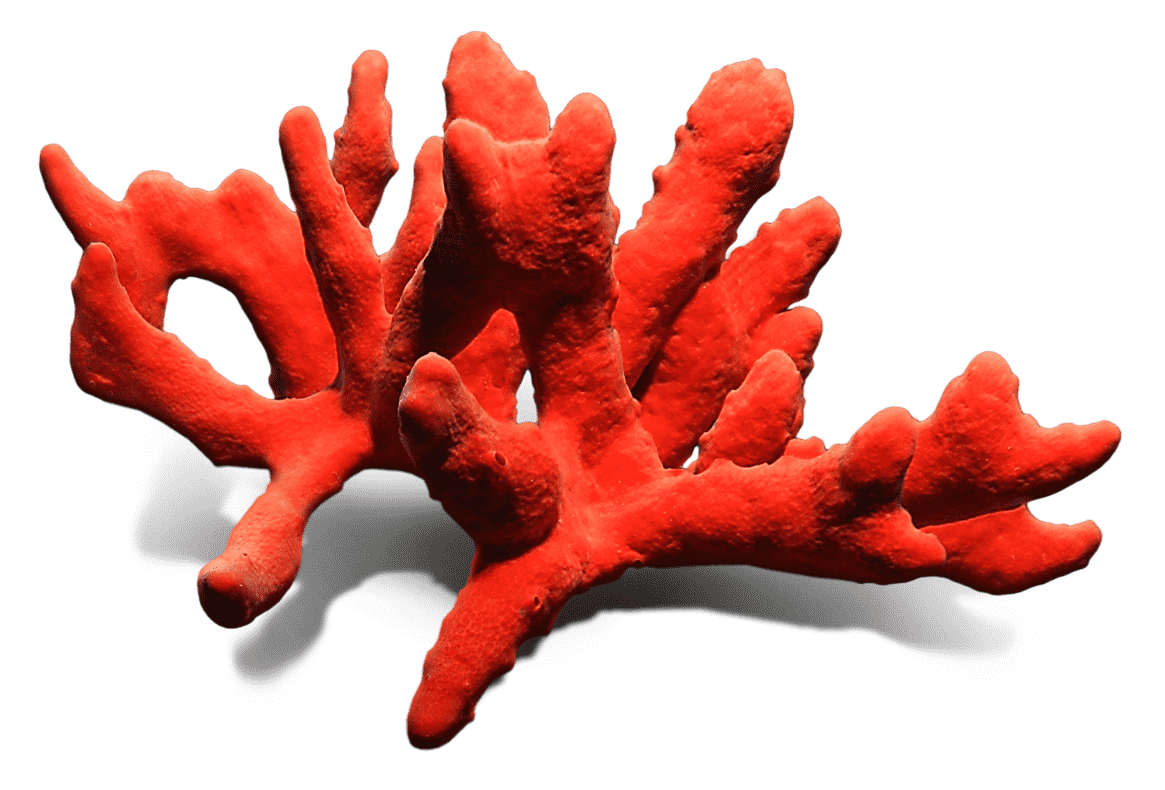 الأحمر الطبيعي المرجان PNG الموافقة المسبقة عن علم
