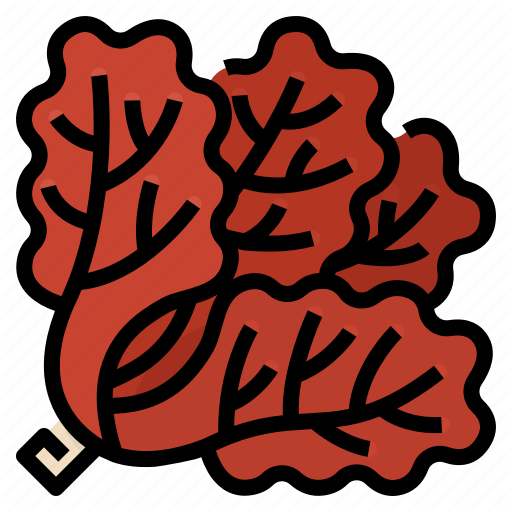 Natural Red Coral PNG Picture