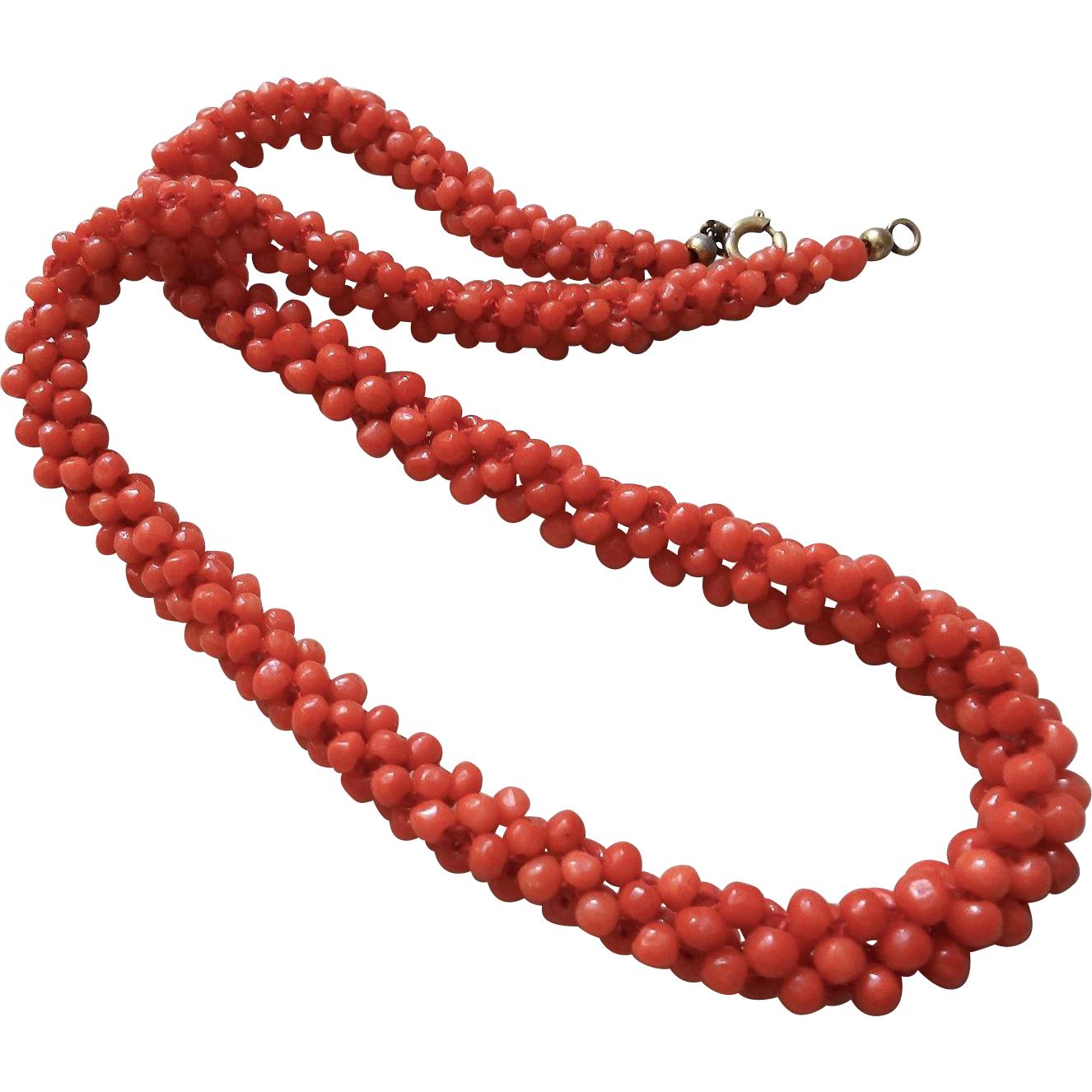 Red Coral PNG تحميل صورة