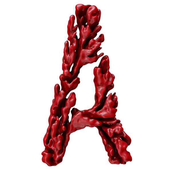 Red Coral PNG Picture