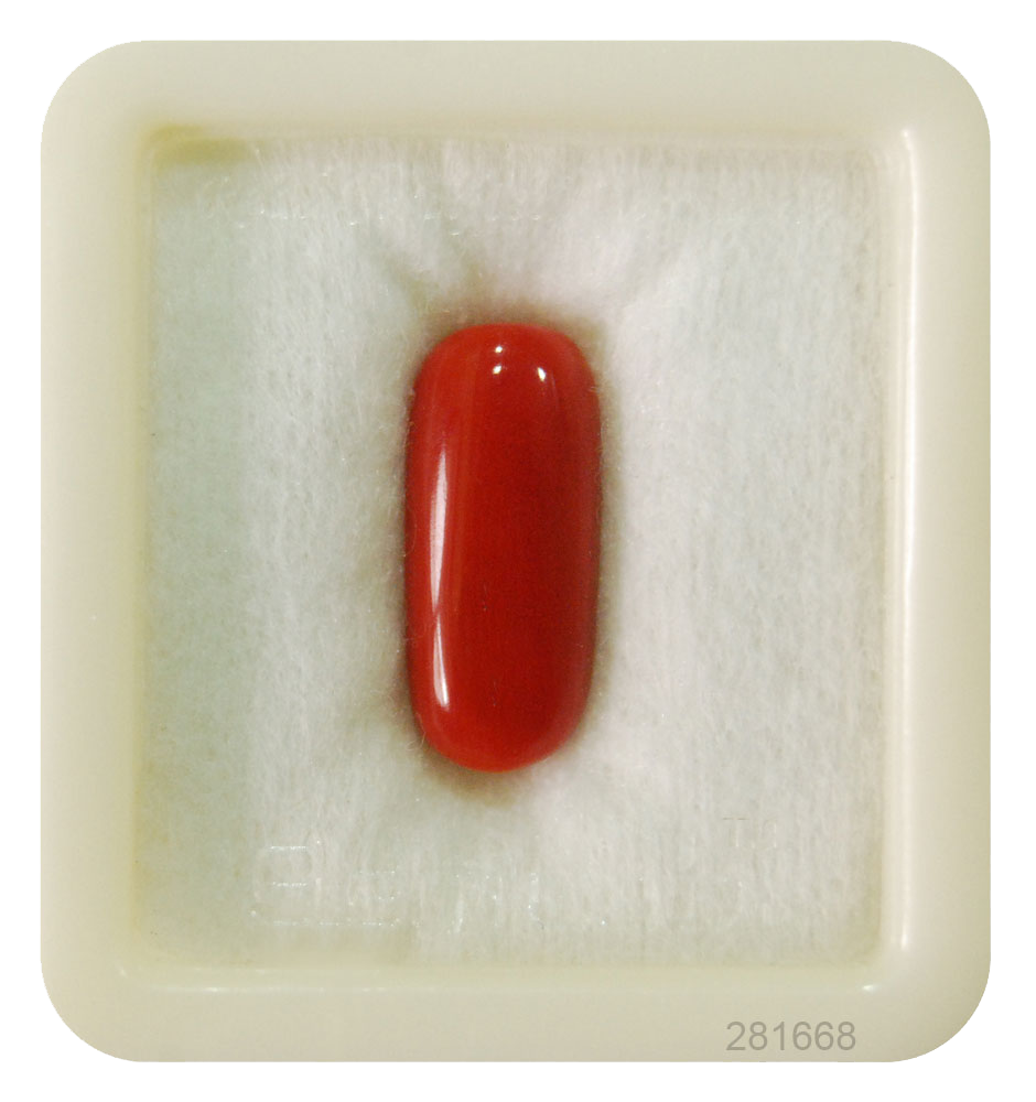 Red Coral Stone Free PNG Image
