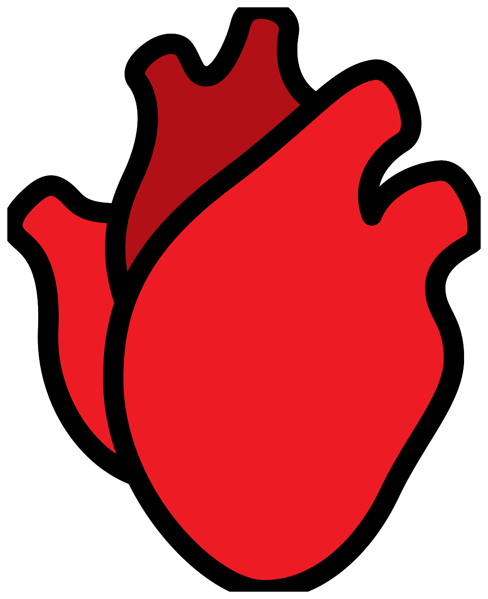 Immagine del PNG del cuore umano rosso