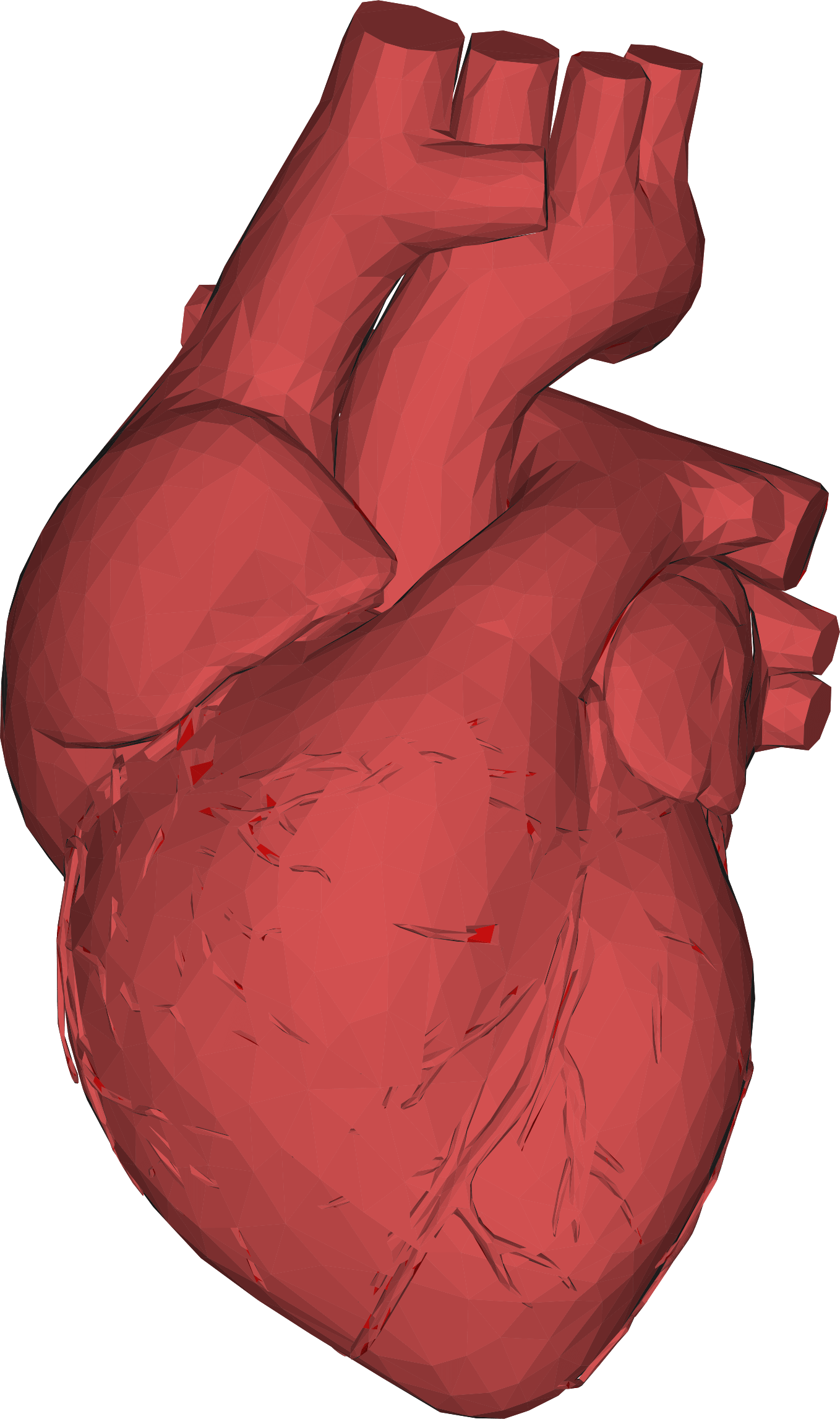 Fondo de la imagen del PNG del corazón humano rojo