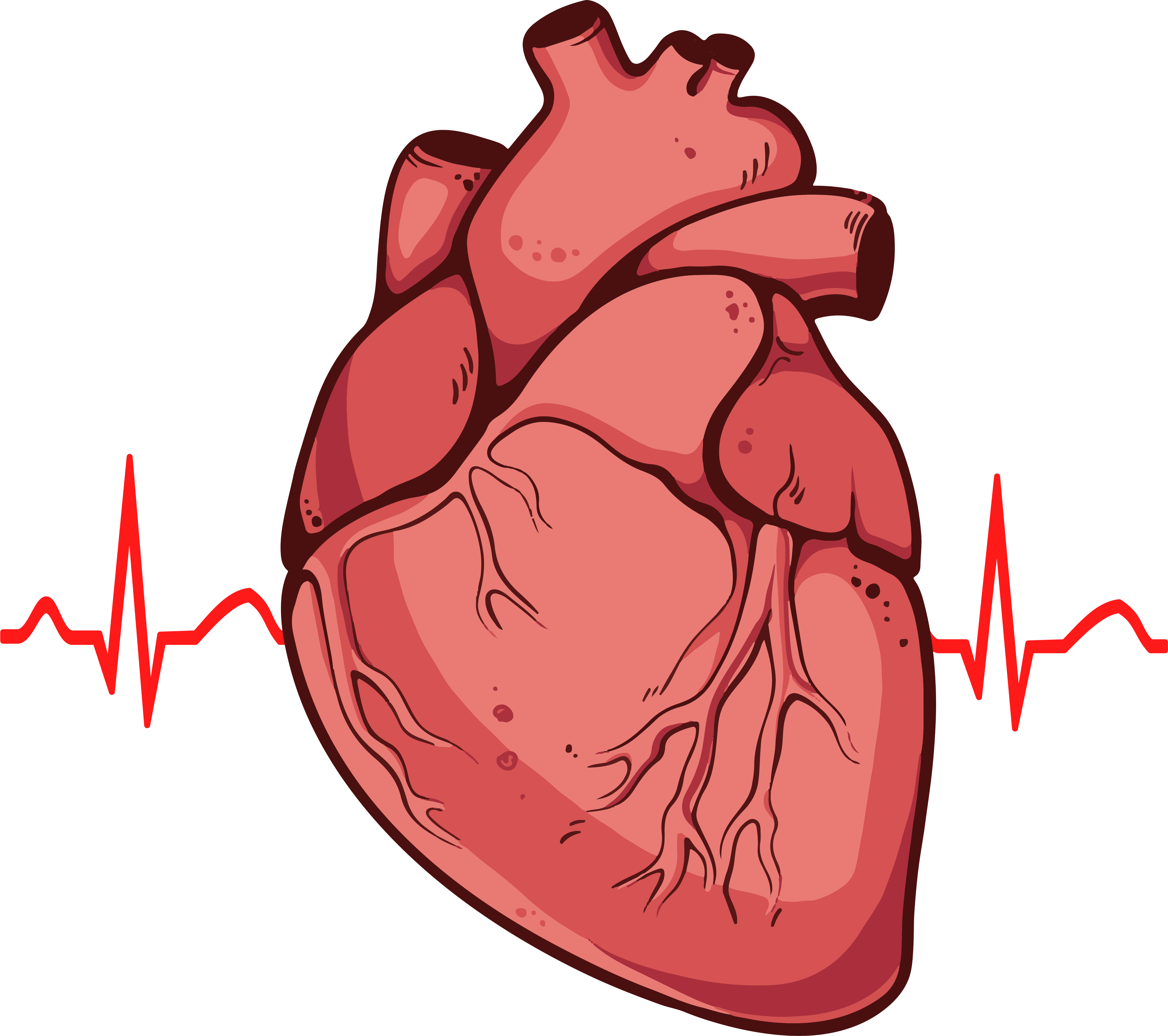 Red Hatic Heart PNG Gambar Transparan