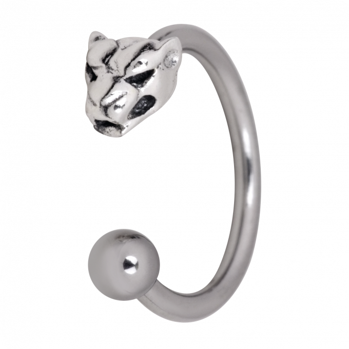 Silver Piercing PNG Pic