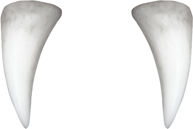 Tooth PNG Image Background