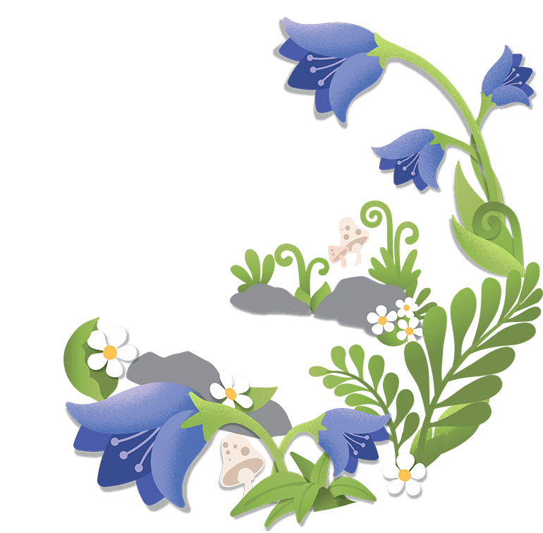 Vector Bluebells Free PNG Image