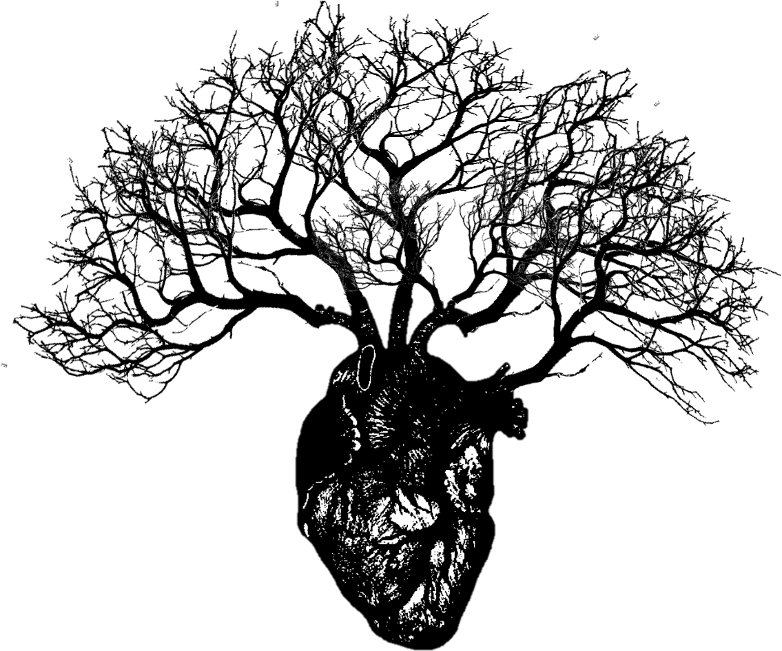 Вектор сердца дерево PNG прозрачное изображение