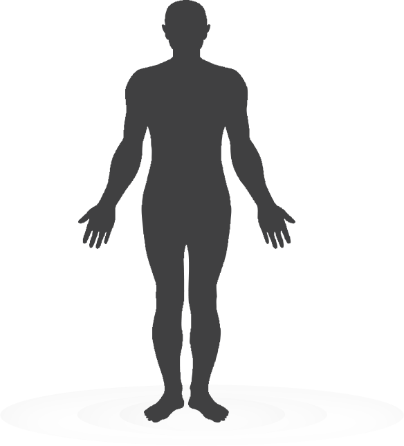 Vector cuerpo humano PNG photo