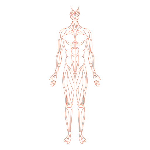 Vektor-menschliches Körper-transparentes Bild