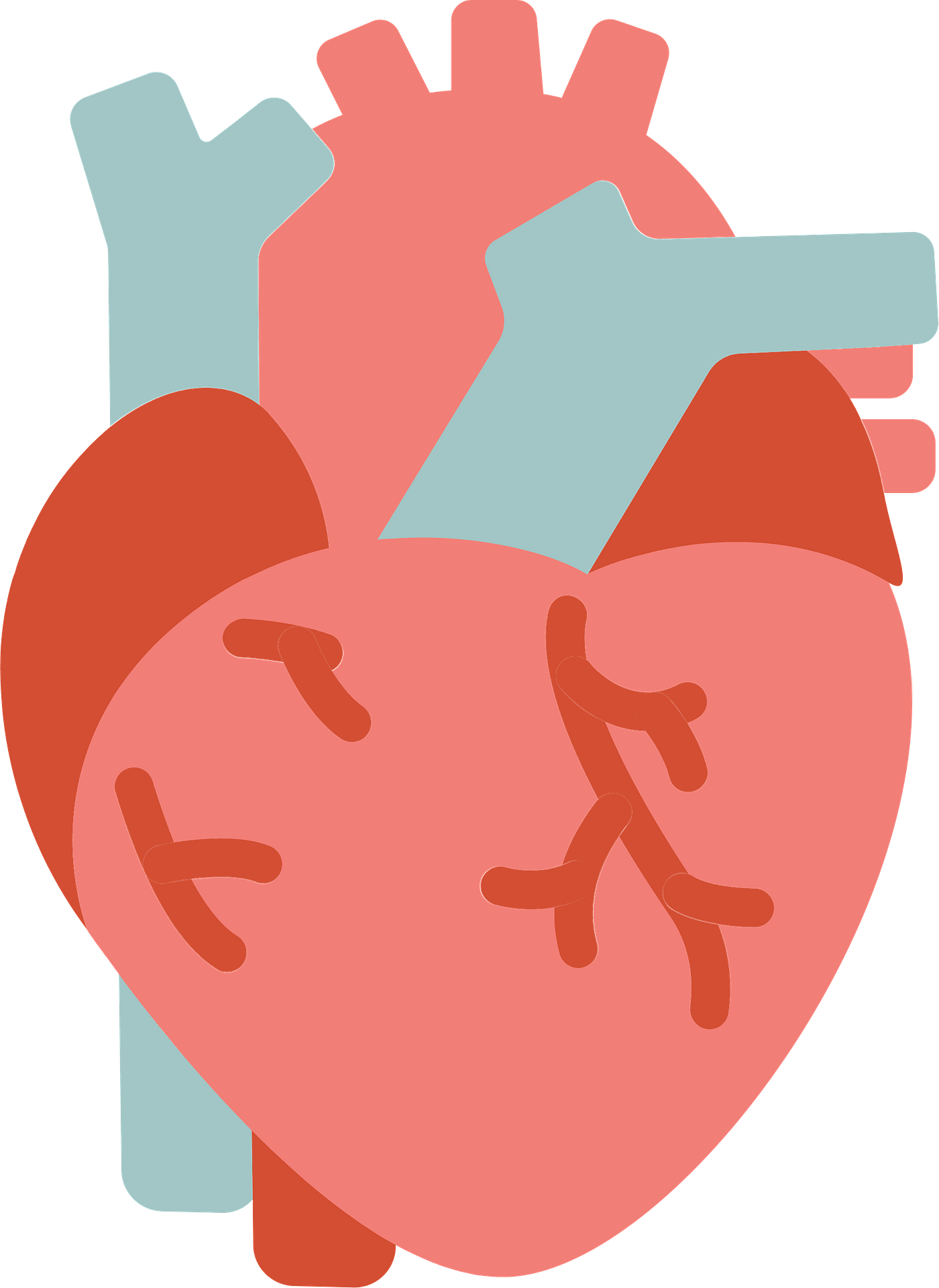 Immagine del cuore del cuore umano di vettore