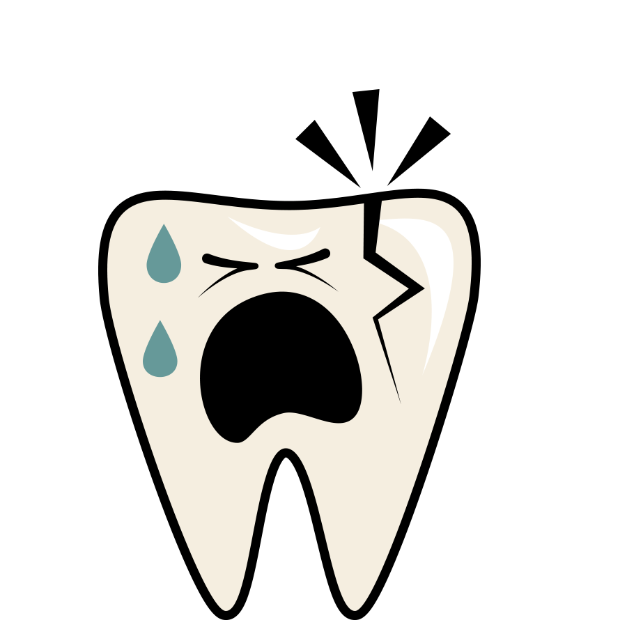 Vector Tooth PNG Free Download