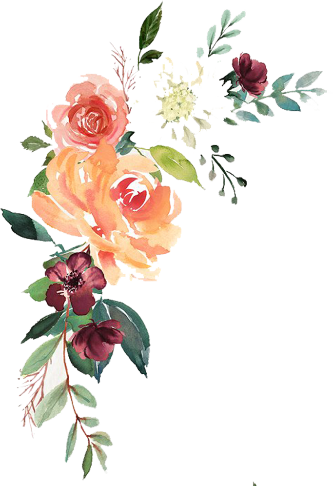 Watercolor Flower Free PNG Image