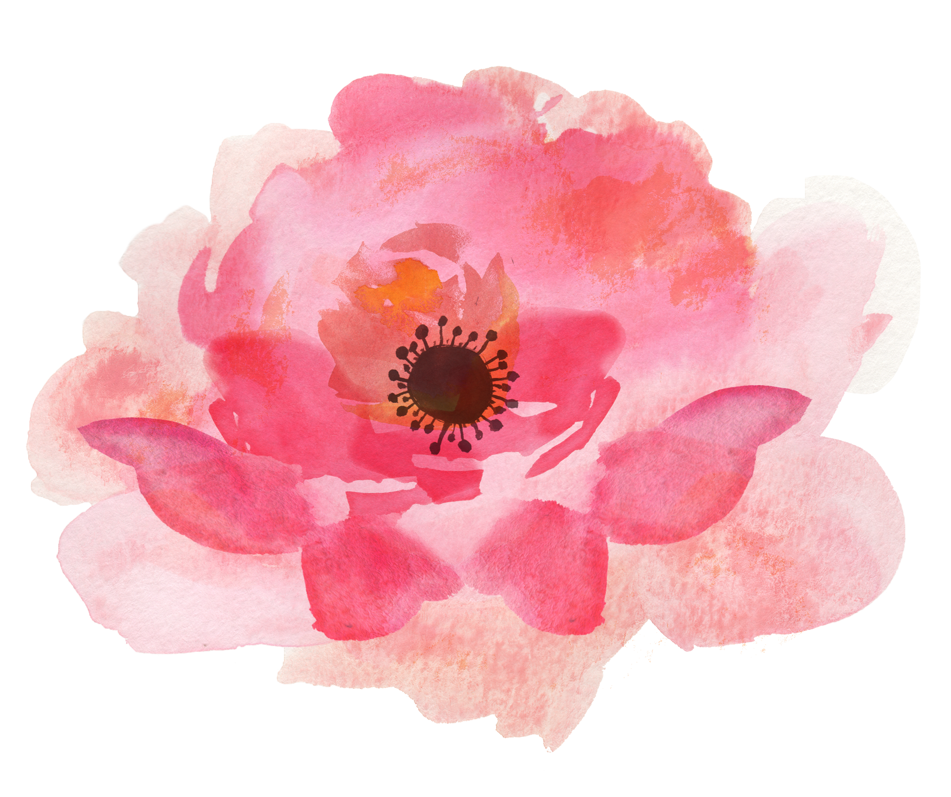 Pintura de flores de acuarela PNG descargar imagen