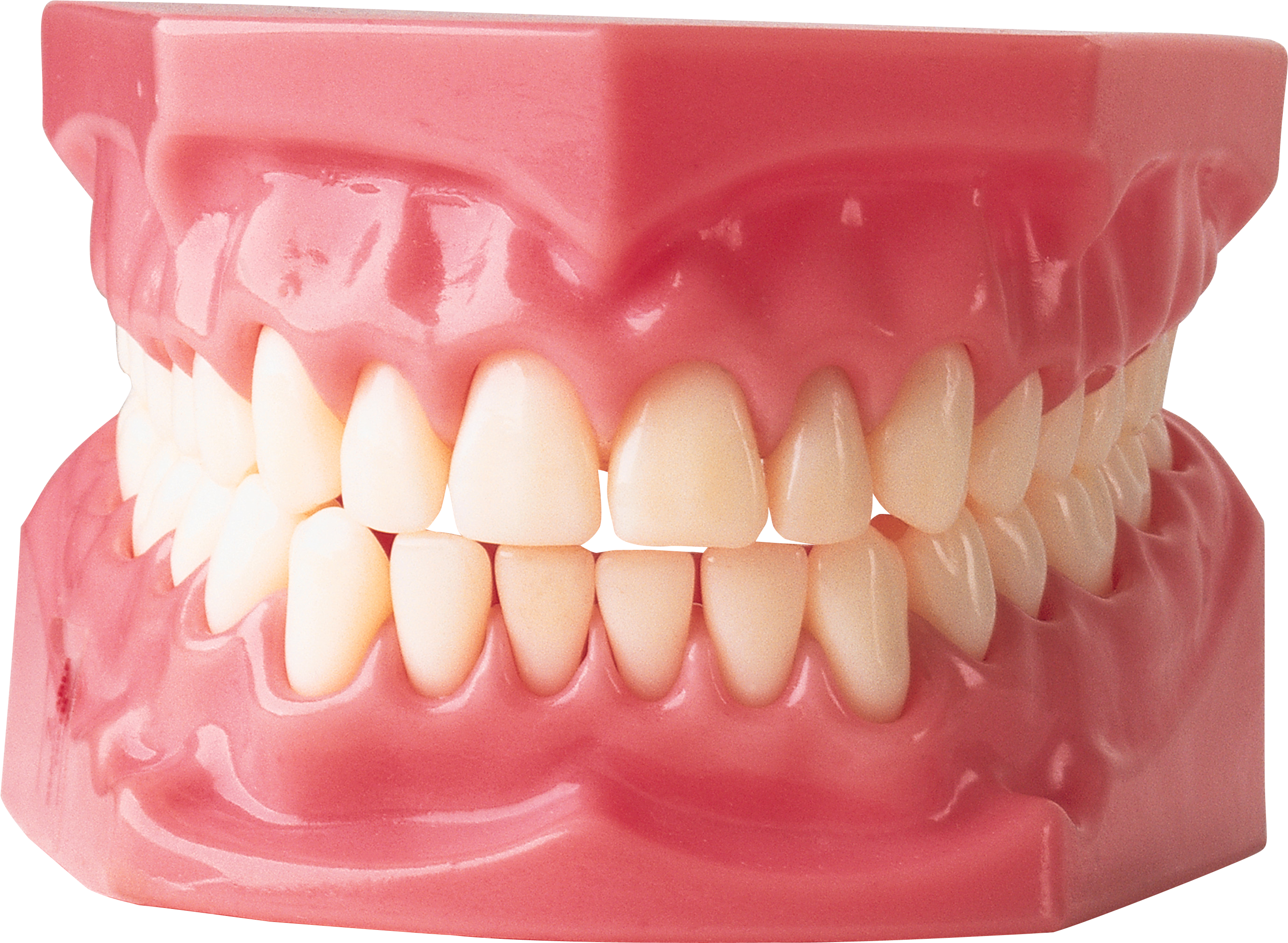 Immagine Trasparente del dente bianco