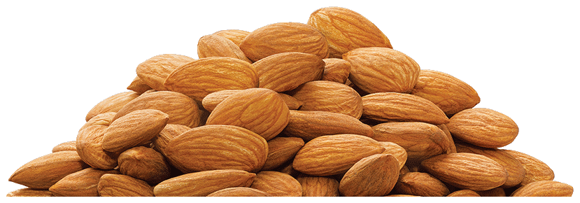 Almond PNG Download Afbeelding