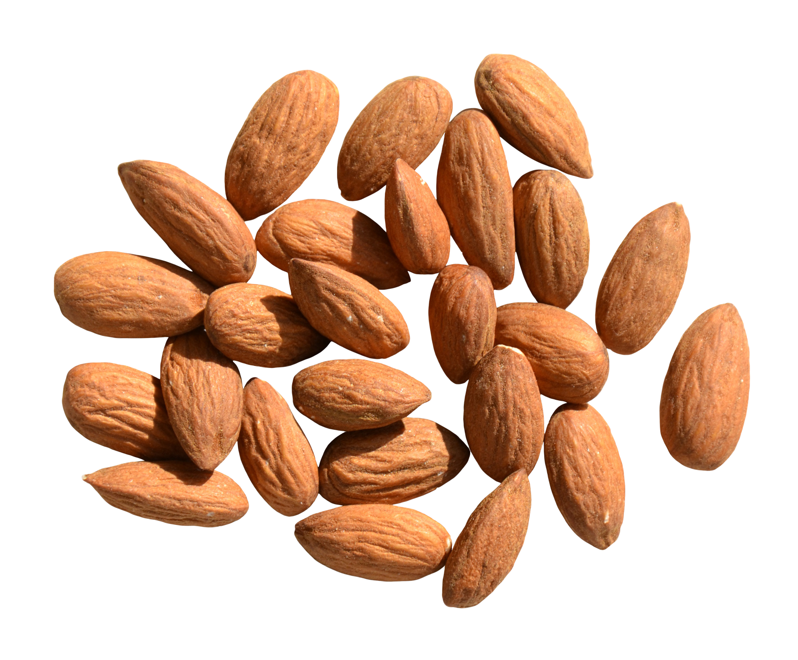 Almond PNG Free Download