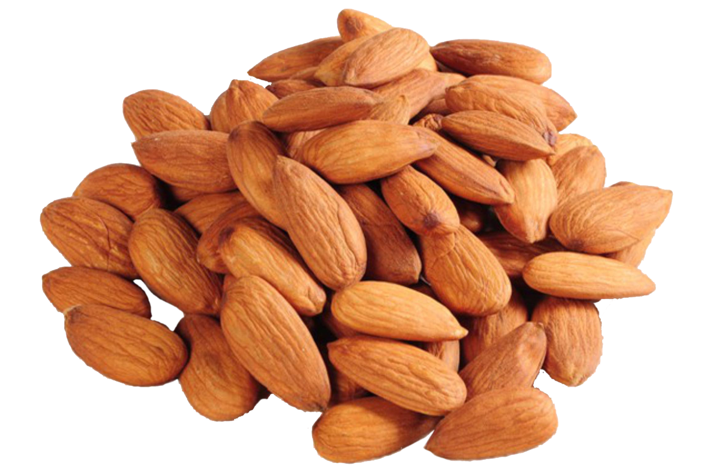 Almond PNG Transparant Beeld
