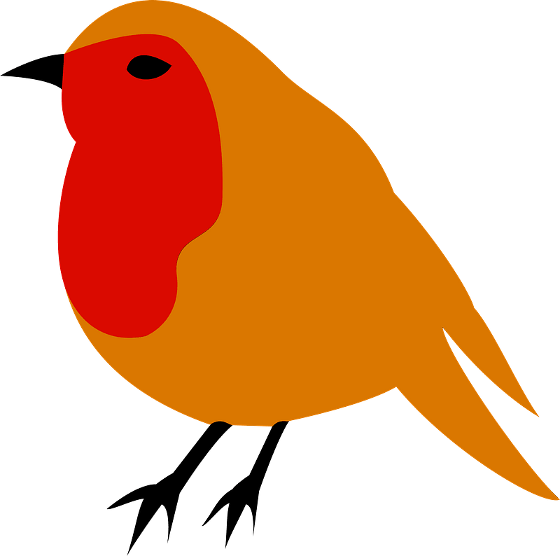 American Robin Bird PNG Unduh Image
