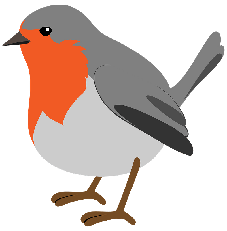 American Robin PNG Free Download