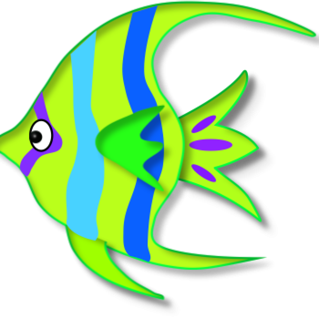 Angelfish PNG Image Background