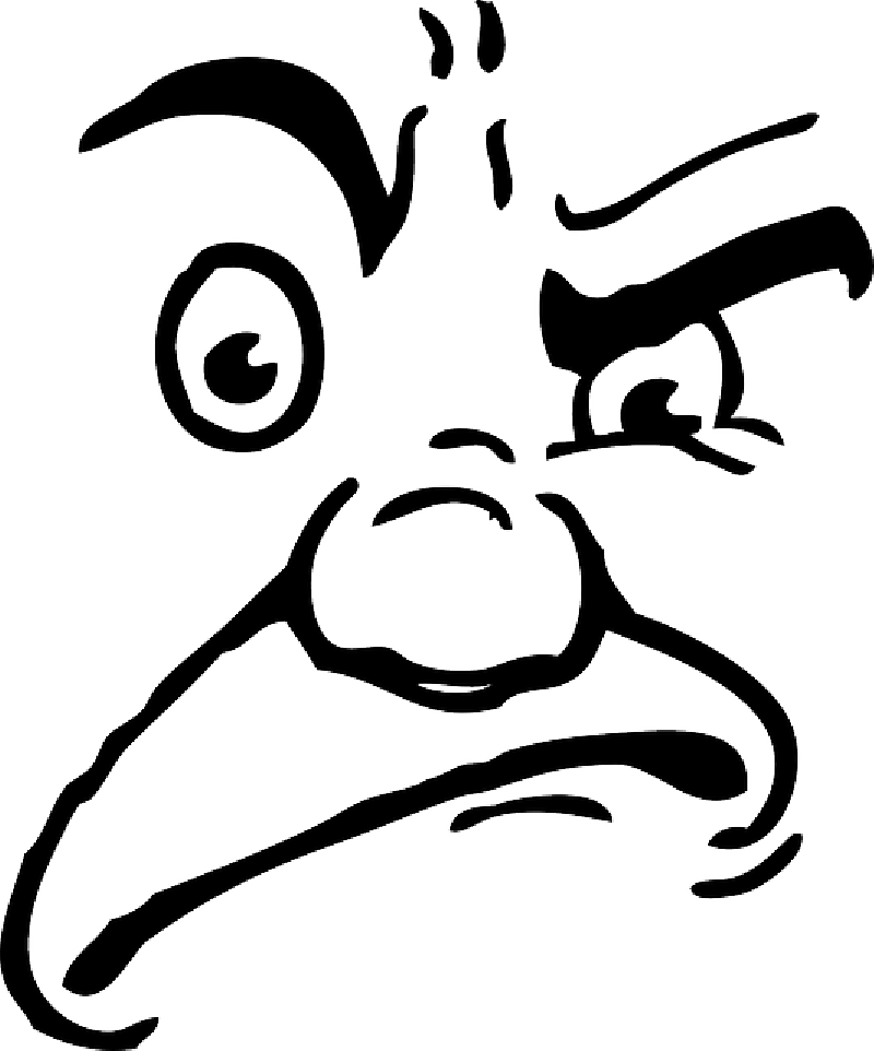 Angry Face PNG Photo