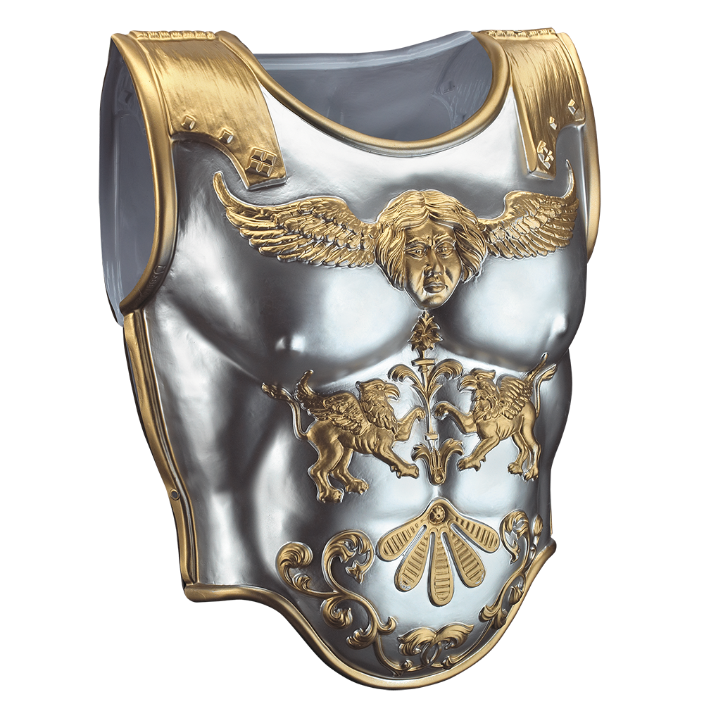 Armour Suit PNG Photo