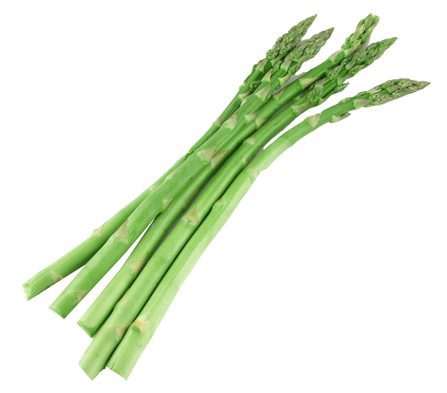 Asparagus PNG Download Image