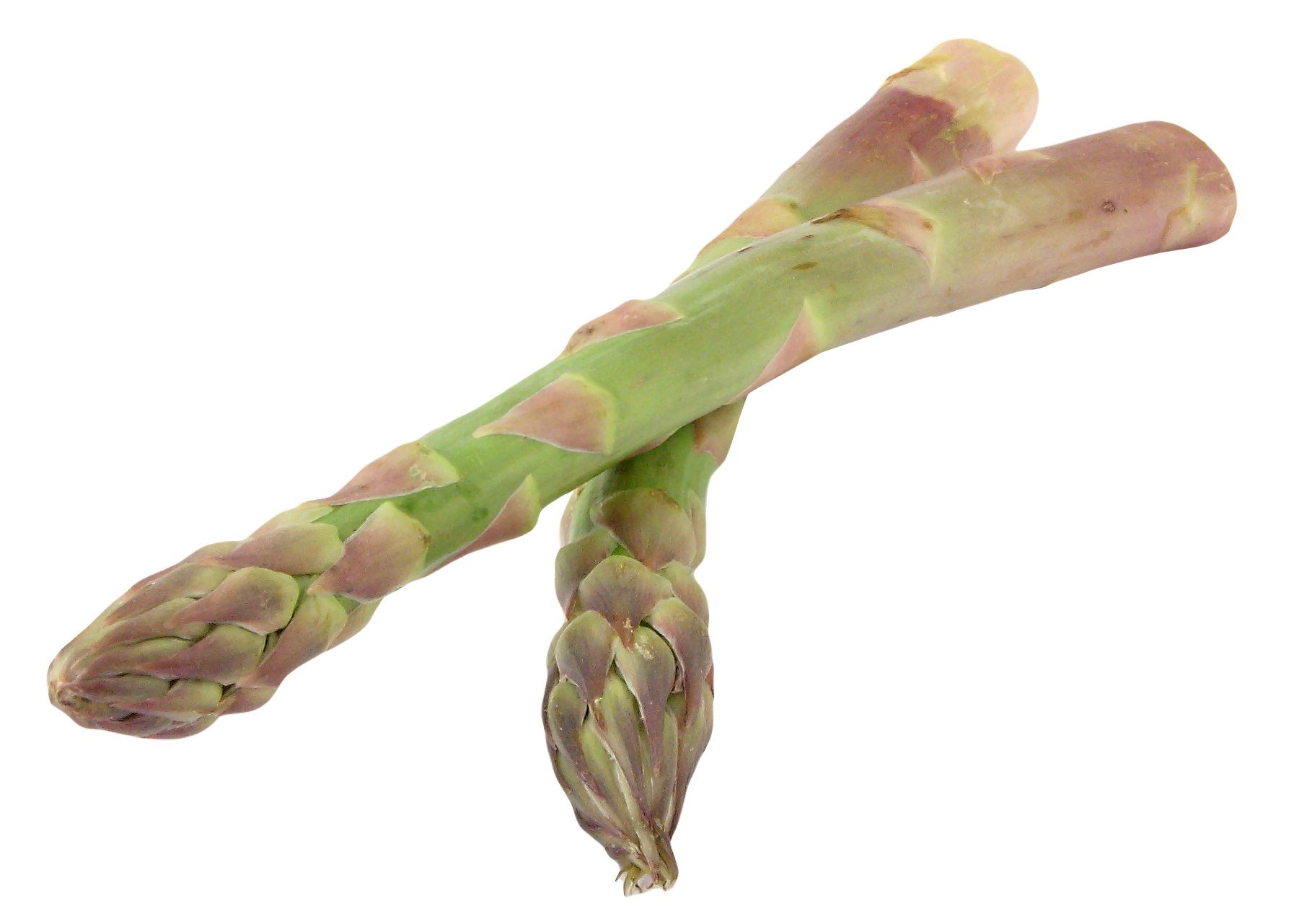 Asparagus PNG Gambar Transparan