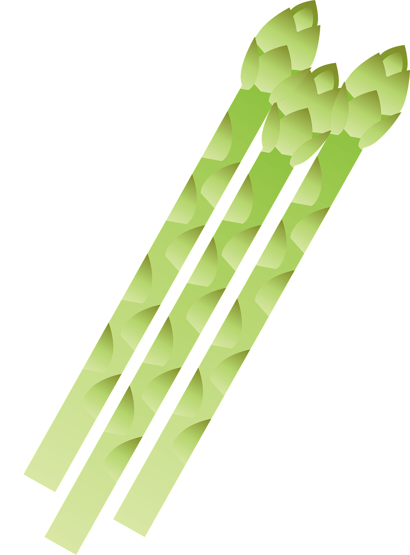 Asparagus Sticks PNG Transparent Image