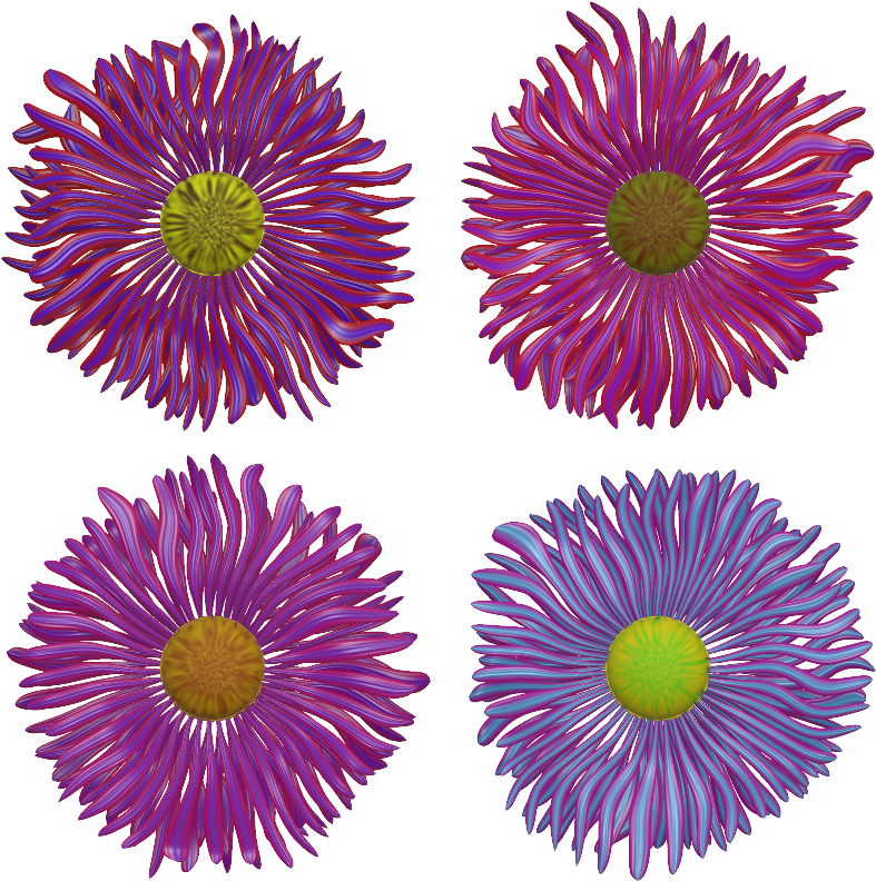 Aster PNG Image
