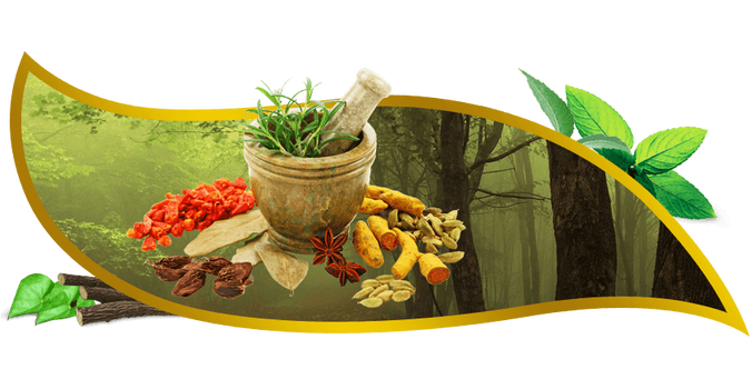 Ayurveda PNG Picture