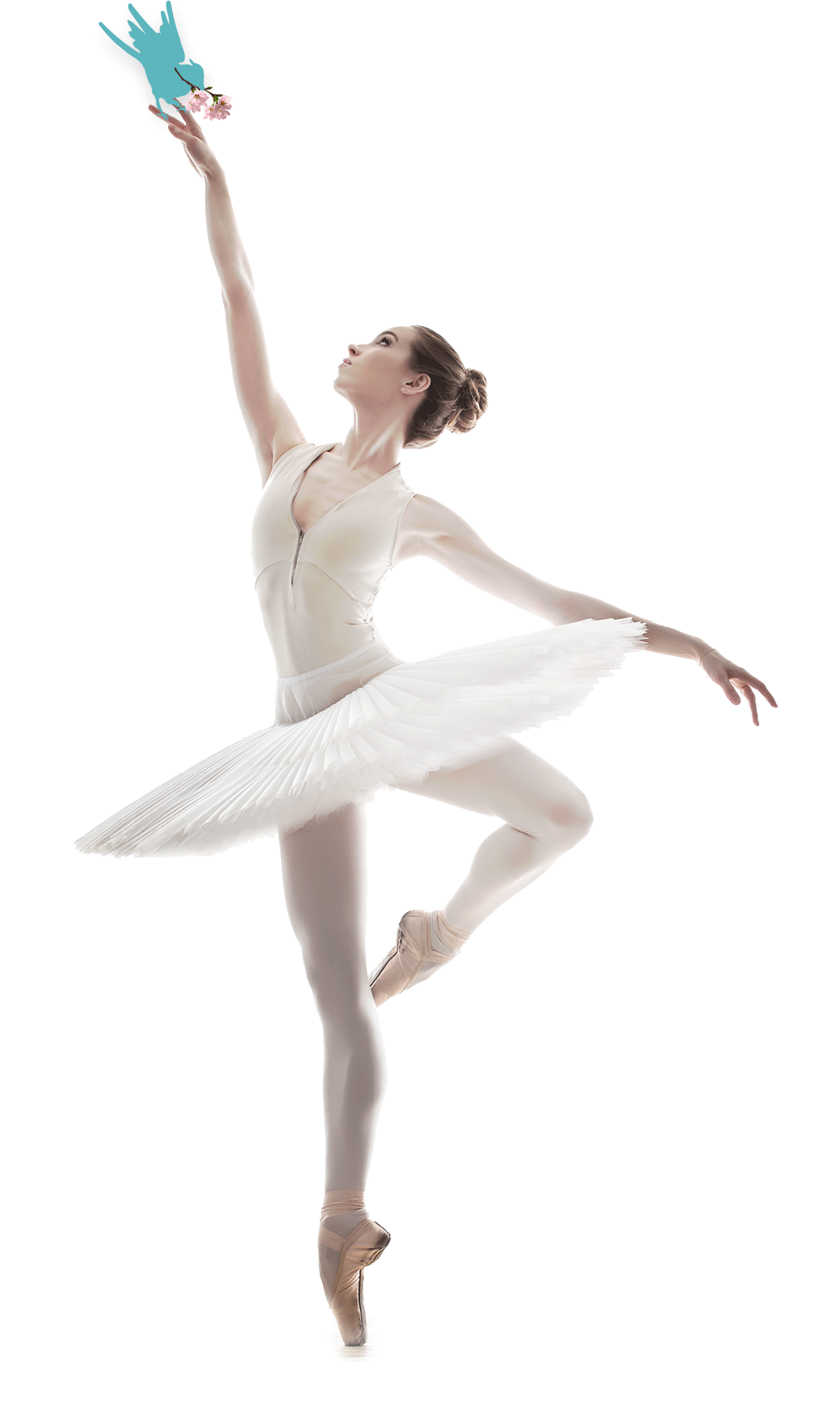 Ballet Dancer Free PNG Image