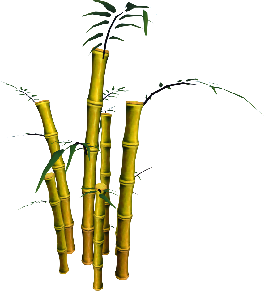 Bamboo Branch PNG Download Image