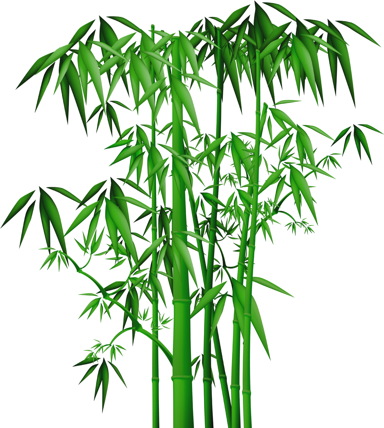 Bamboo Branch PNG High-Quality Image