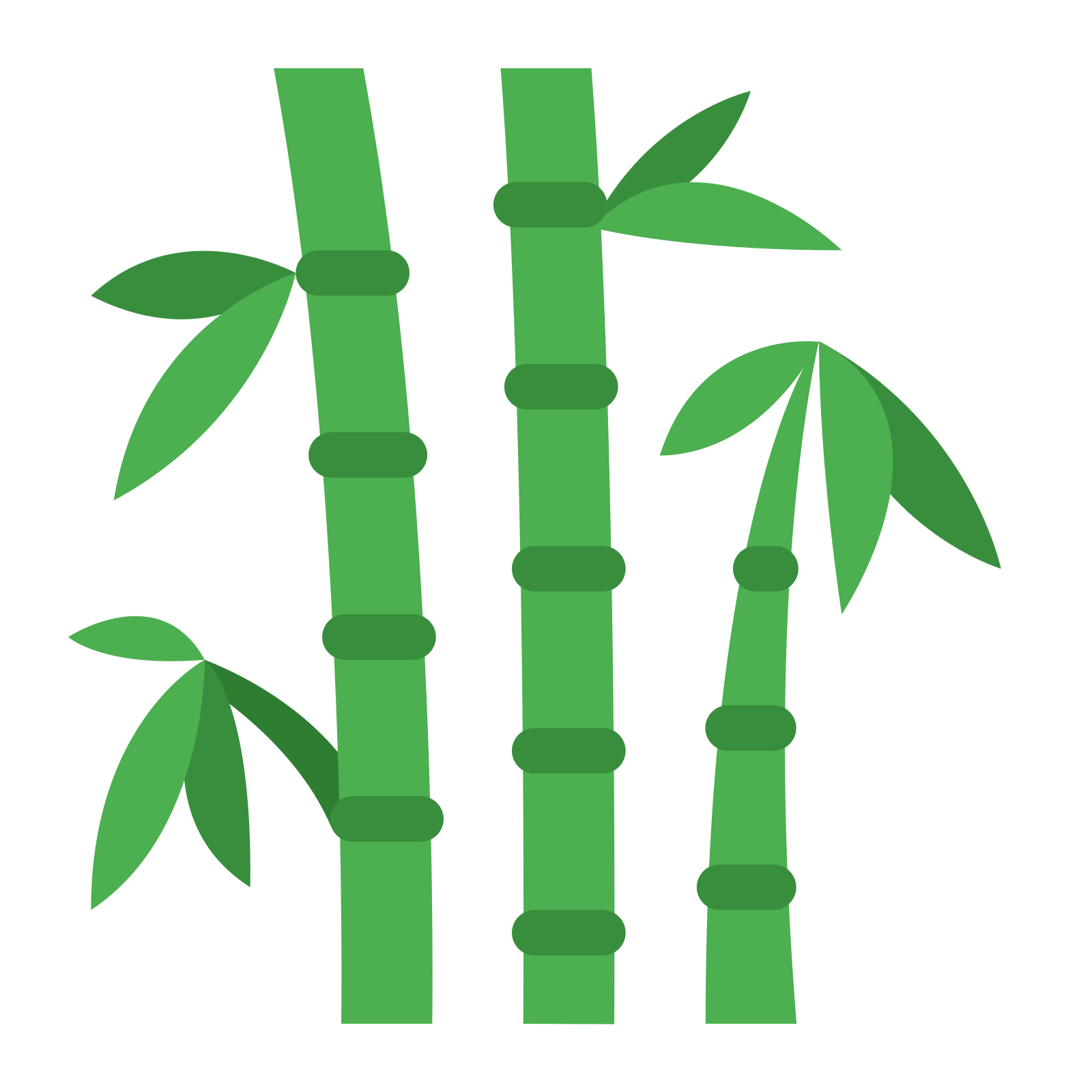 Imagen PNG de la rama de bambú