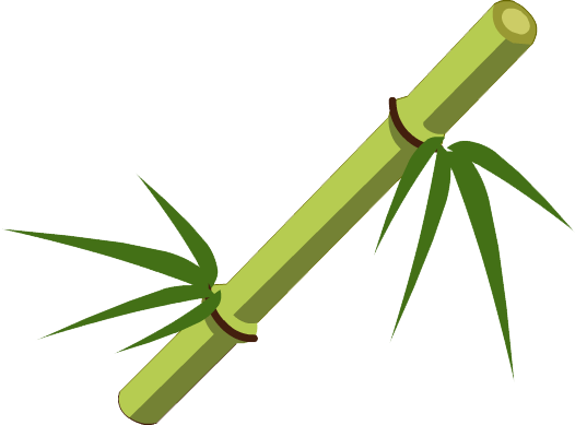 Imagem transparente de ramo de bambu