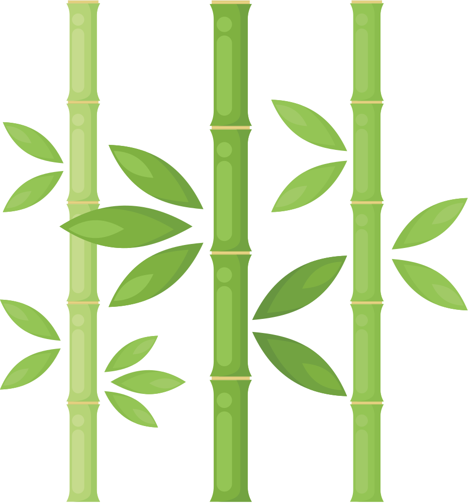 Imagem de alta qualidade de folha de bambu PNG