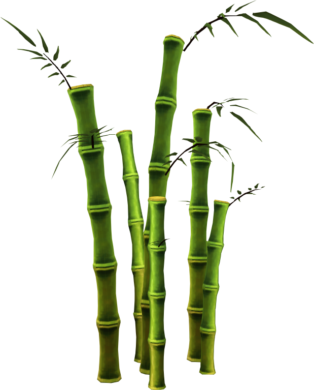 Bamboo PNG Download Image