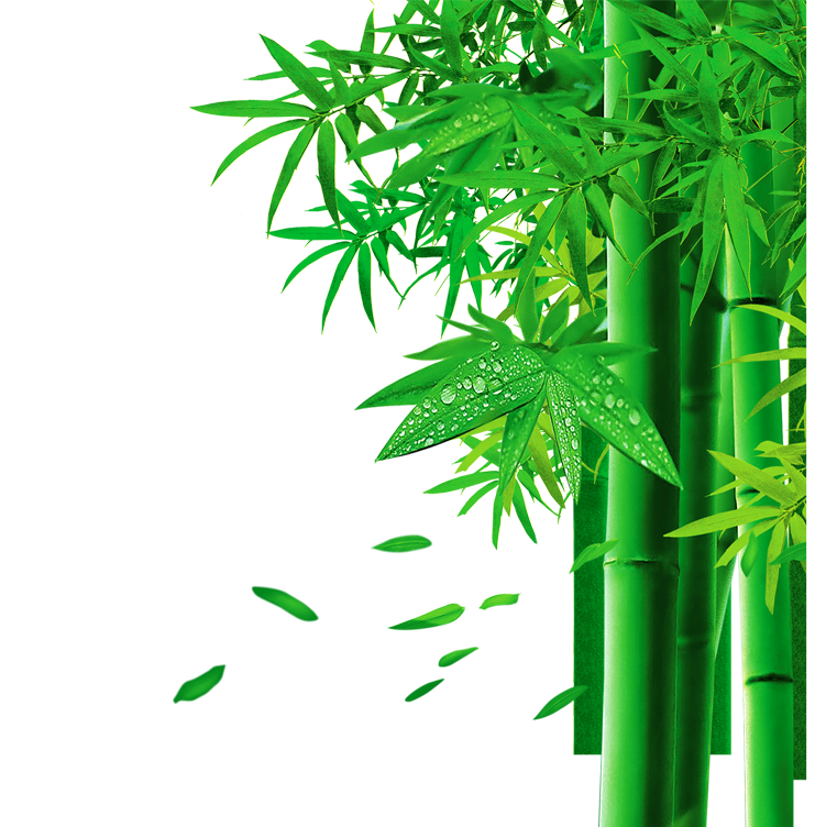 Bamboo Stem Free PNG Image