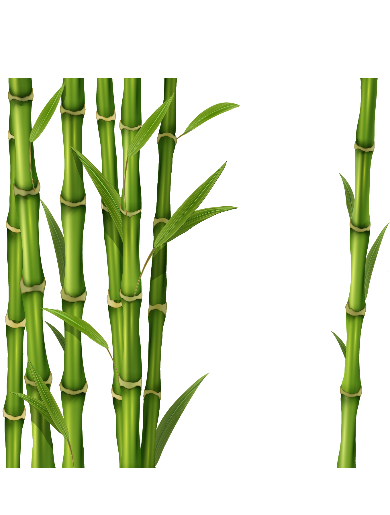 Fondo de imagen de la imagen de PNG de tallo de bambú