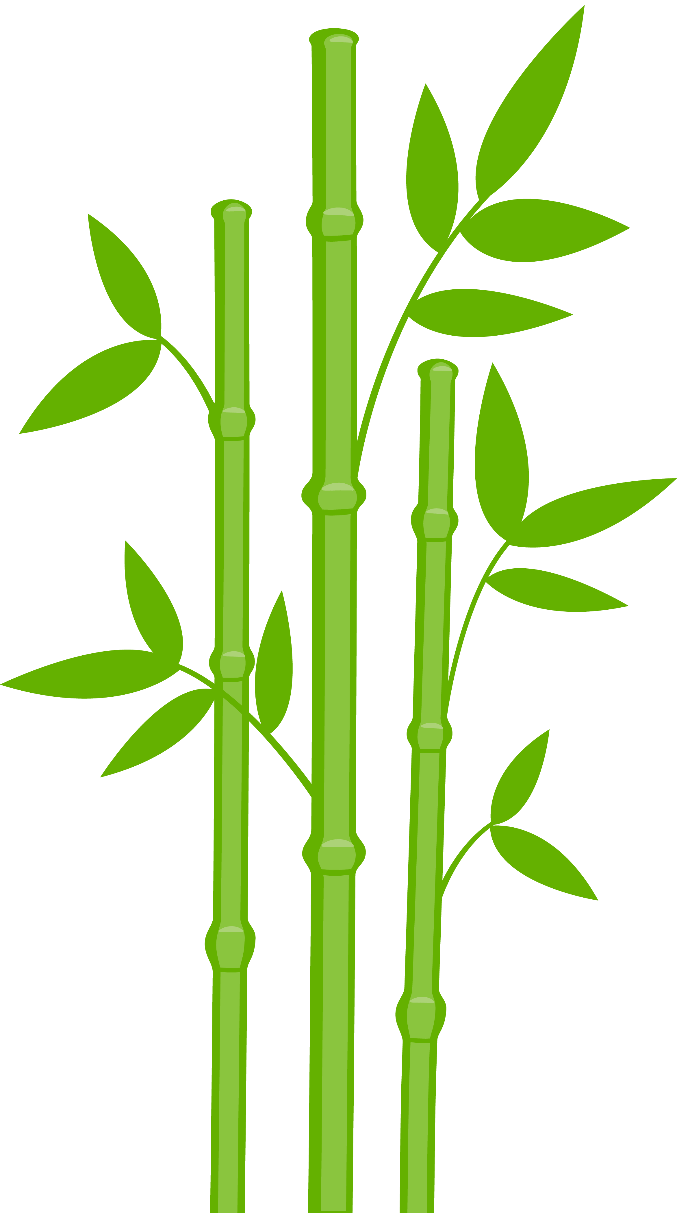 Bamboo Stem PNG Gambar Transparan