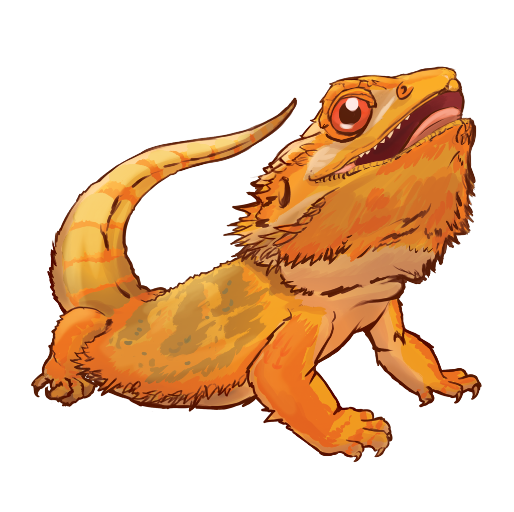 Bearded Dragon Lizard PNG Free Download