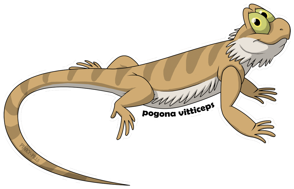 Bearded Dragon PNG High-Quality Image