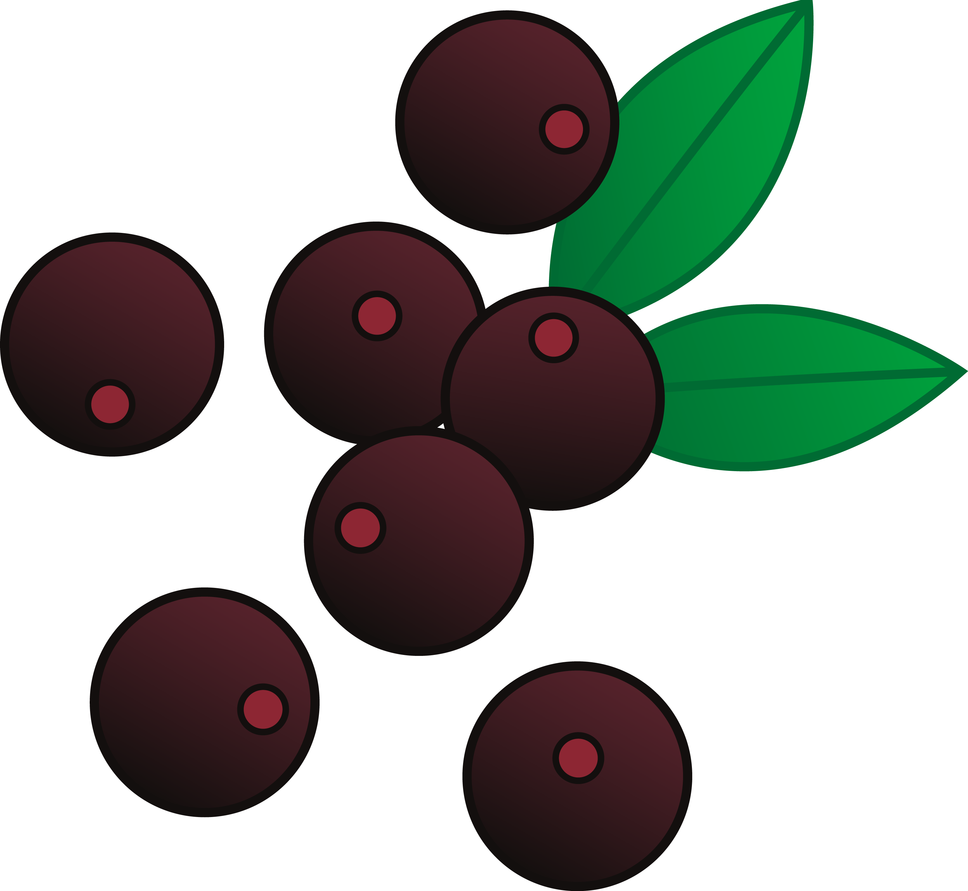 Gambar Transparan berry