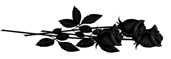Schwarz-Weiß-Rosen-Clipart-freies PNG-Bild