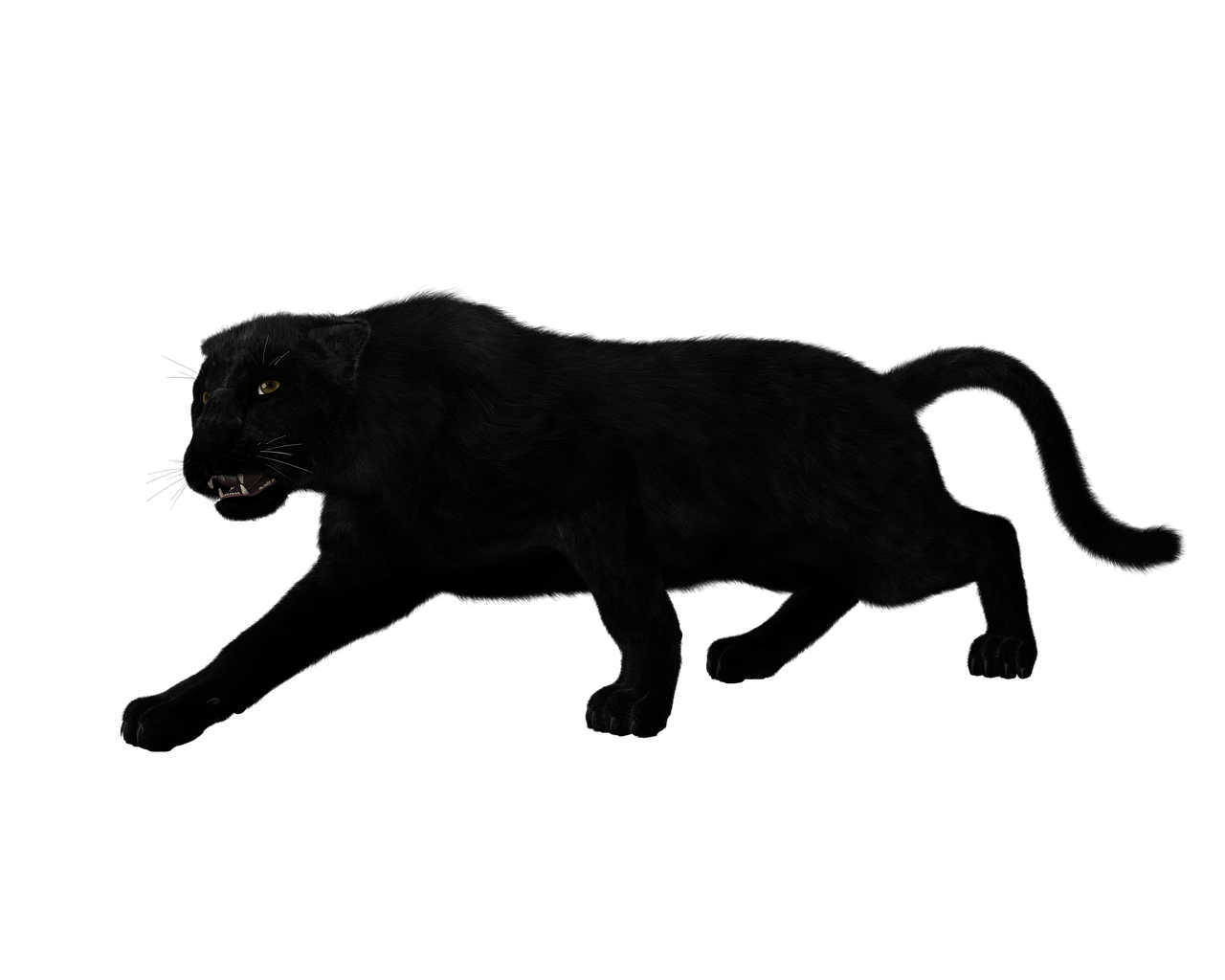 โลโก้ Panther สีดำ PNG Photo