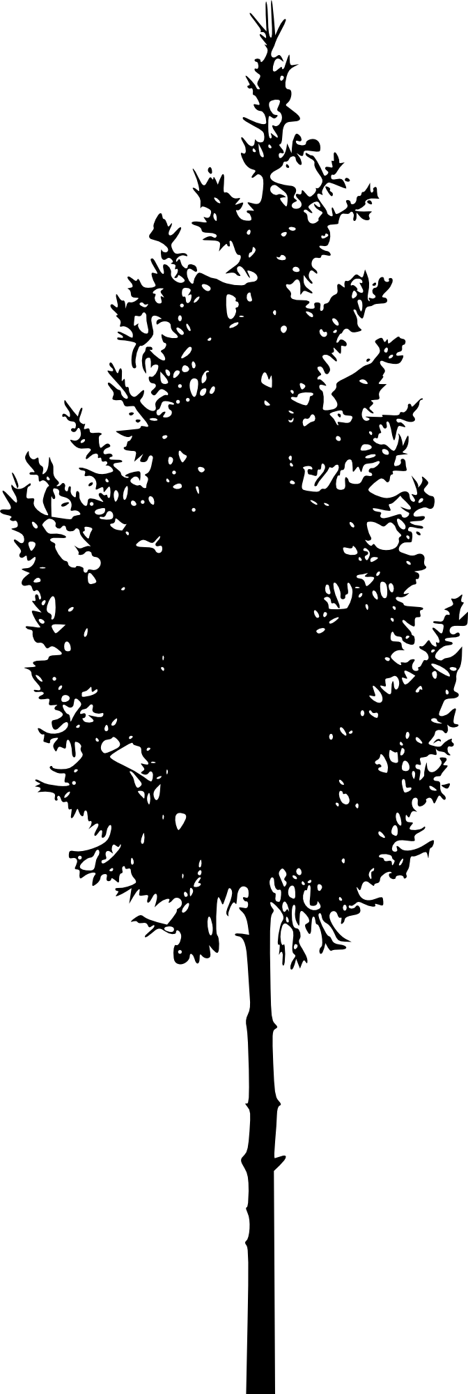 Immagine del PNG della siluetta dellalbero nero